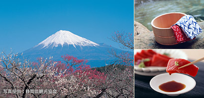 富士山，各種溫泉，美食